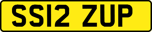 SS12ZUP