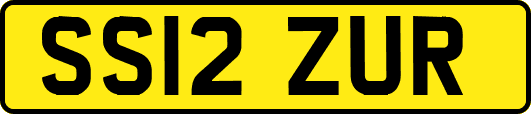 SS12ZUR