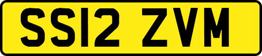 SS12ZVM