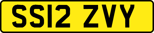SS12ZVY