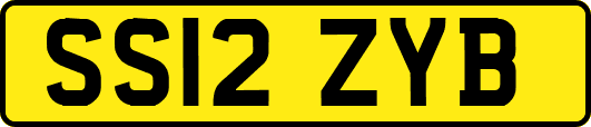 SS12ZYB