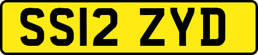 SS12ZYD