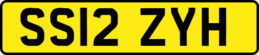 SS12ZYH
