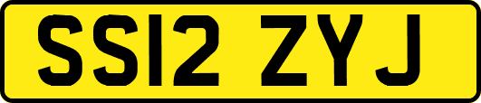 SS12ZYJ