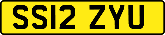 SS12ZYU