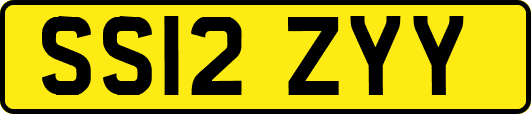 SS12ZYY