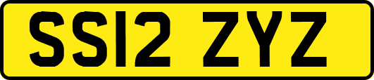 SS12ZYZ