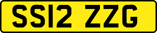 SS12ZZG