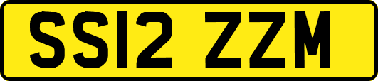 SS12ZZM
