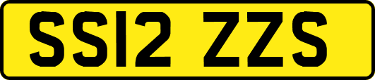 SS12ZZS