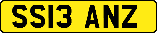 SS13ANZ