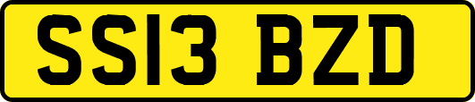 SS13BZD