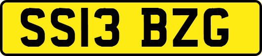SS13BZG