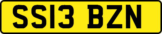 SS13BZN
