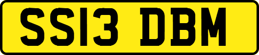 SS13DBM