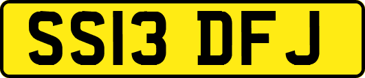 SS13DFJ