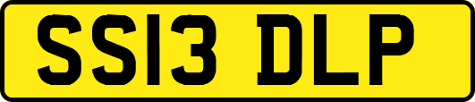 SS13DLP