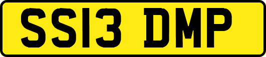 SS13DMP