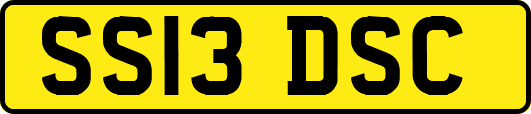 SS13DSC