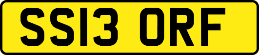 SS13ORF