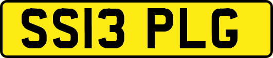 SS13PLG