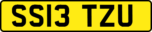 SS13TZU