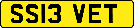 SS13VET