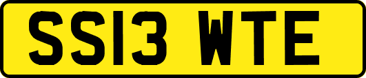 SS13WTE