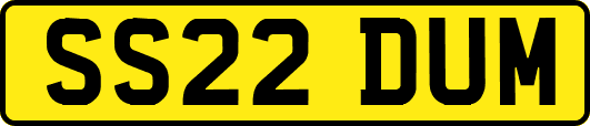 SS22DUM