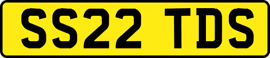 SS22TDS