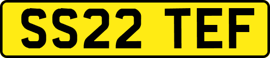 SS22TEF