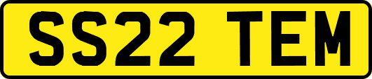 SS22TEM