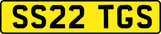 SS22TGS