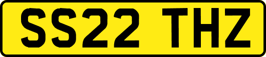SS22THZ