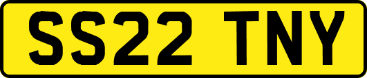 SS22TNY