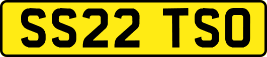 SS22TSO