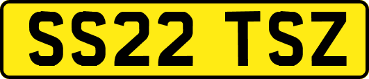 SS22TSZ