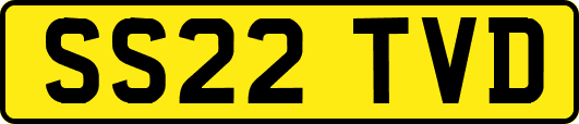 SS22TVD