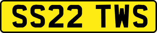 SS22TWS