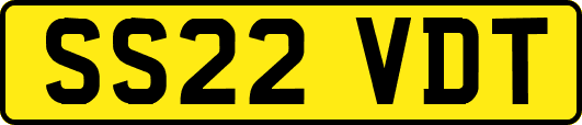 SS22VDT
