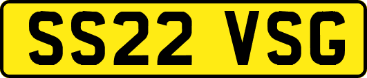 SS22VSG