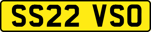 SS22VSO