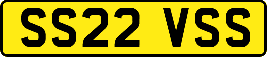 SS22VSS