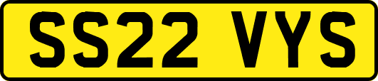 SS22VYS