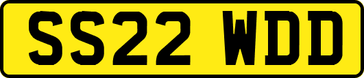 SS22WDD