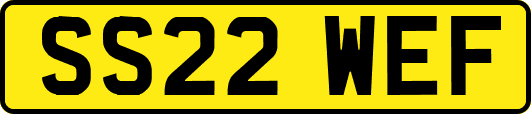 SS22WEF