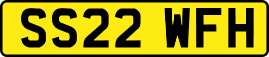 SS22WFH