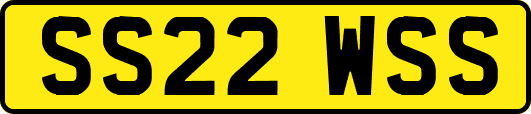 SS22WSS