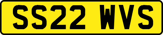 SS22WVS