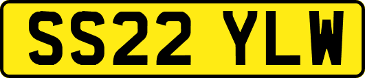 SS22YLW